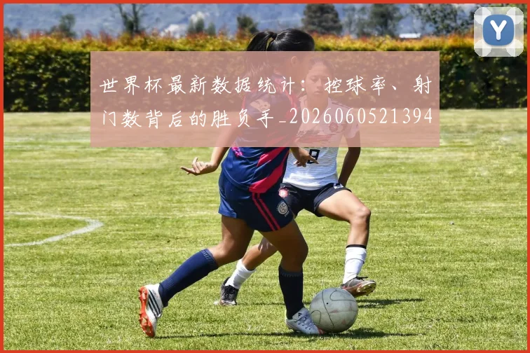 世界杯最新数据统计：控球率、射门数背后的胜负手_20260605213941