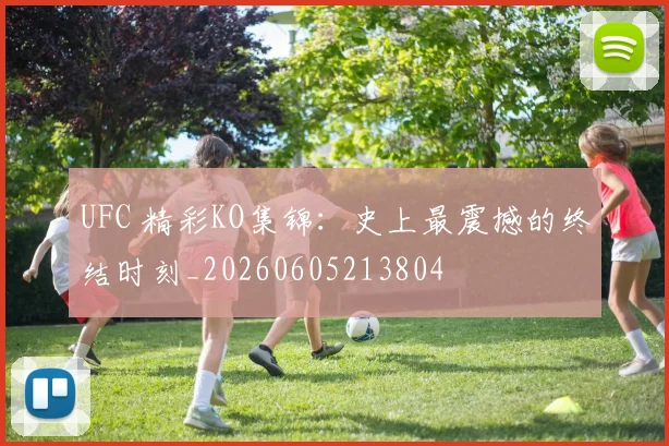UFC 精彩KO集锦：史上最震撼的终结时刻_20260605213804